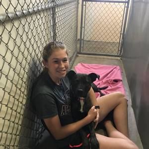 Meet your Posher, Cheyenne